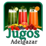 jugos para adelgazar android application logo